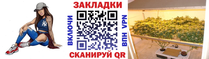 Купить закладку Петров Вал A PVP  Кокаин  Меф мяу мяу  Псилоцибиновые грибы  АМФ  Гашиш  Конопля 