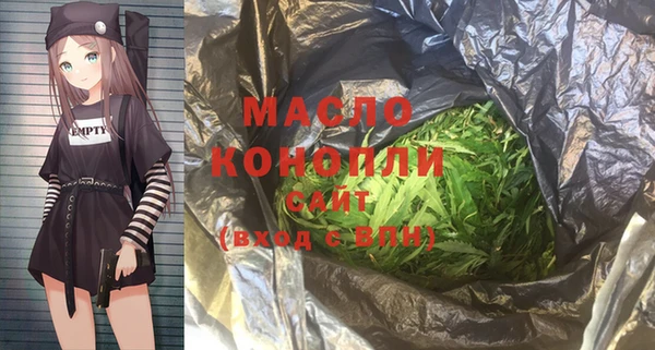 индика Абаза