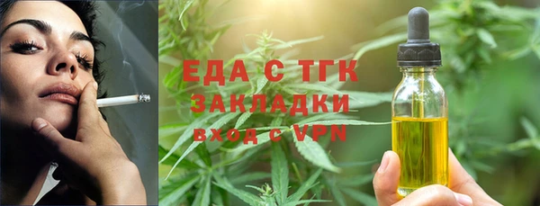индика Абаза