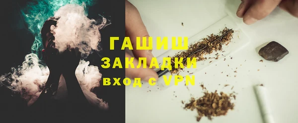 индика Абаза