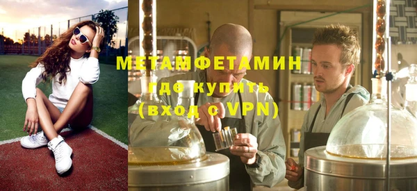 индика Абаза