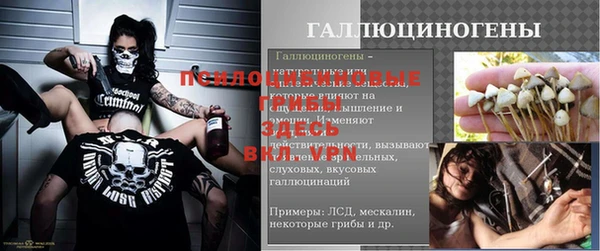 индика Абаза
