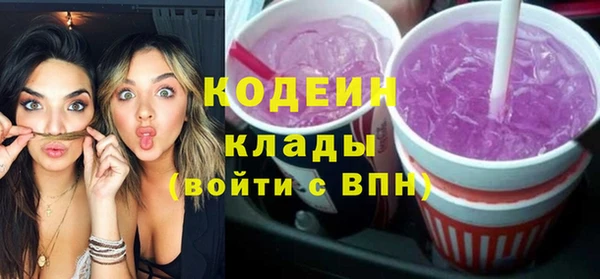 дурь Алексин