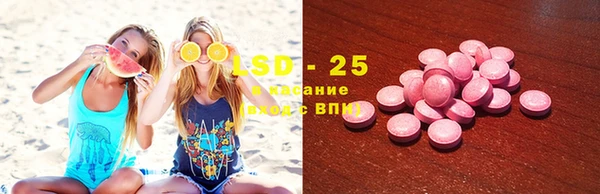 apvp Алзамай